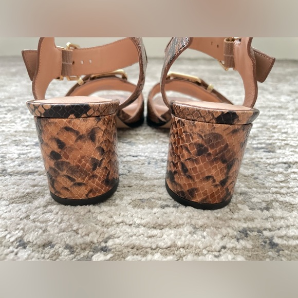 J.Crew Dylan Brown Leather Buckle Block Heel Sandals Size 6 Snake Skin Print - Picture 3 of 10